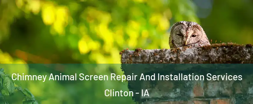 Chimney Animal Screen Repair And Installation Services Clinton - IA