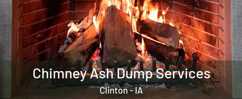  Chimney Ash Dump Services Clinton - IA