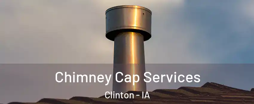  Chimney Cap Services Clinton - IA