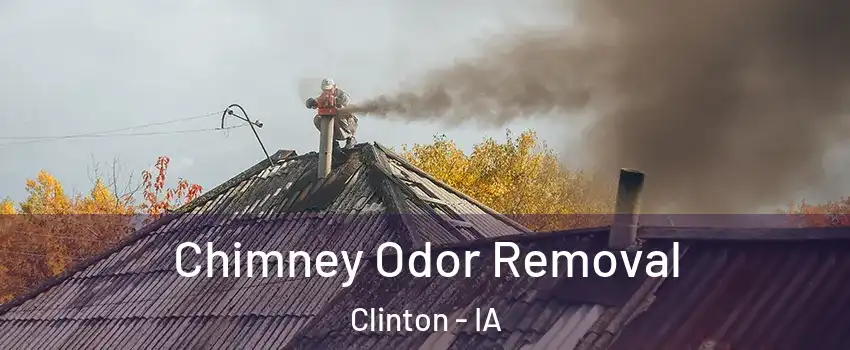  Chimney Odor Removal Clinton - IA