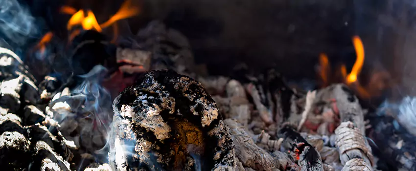 Creosote Removal Experts in Clinton, IA