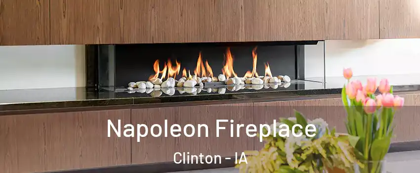  Napoleon Fireplace Clinton - IA