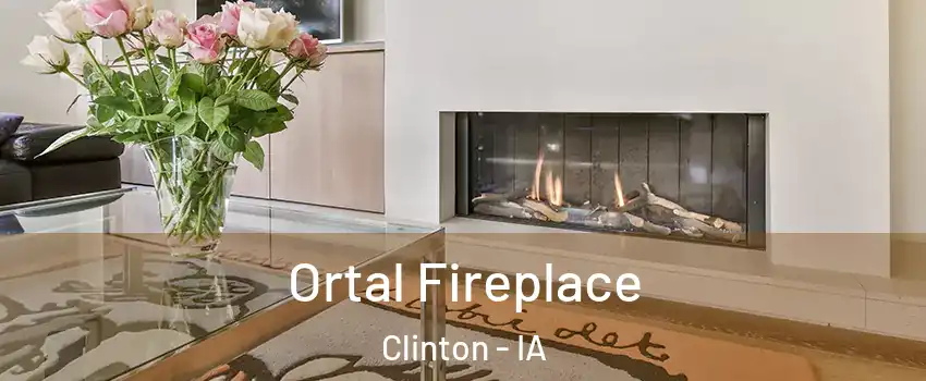  Ortal Fireplace Clinton - IA